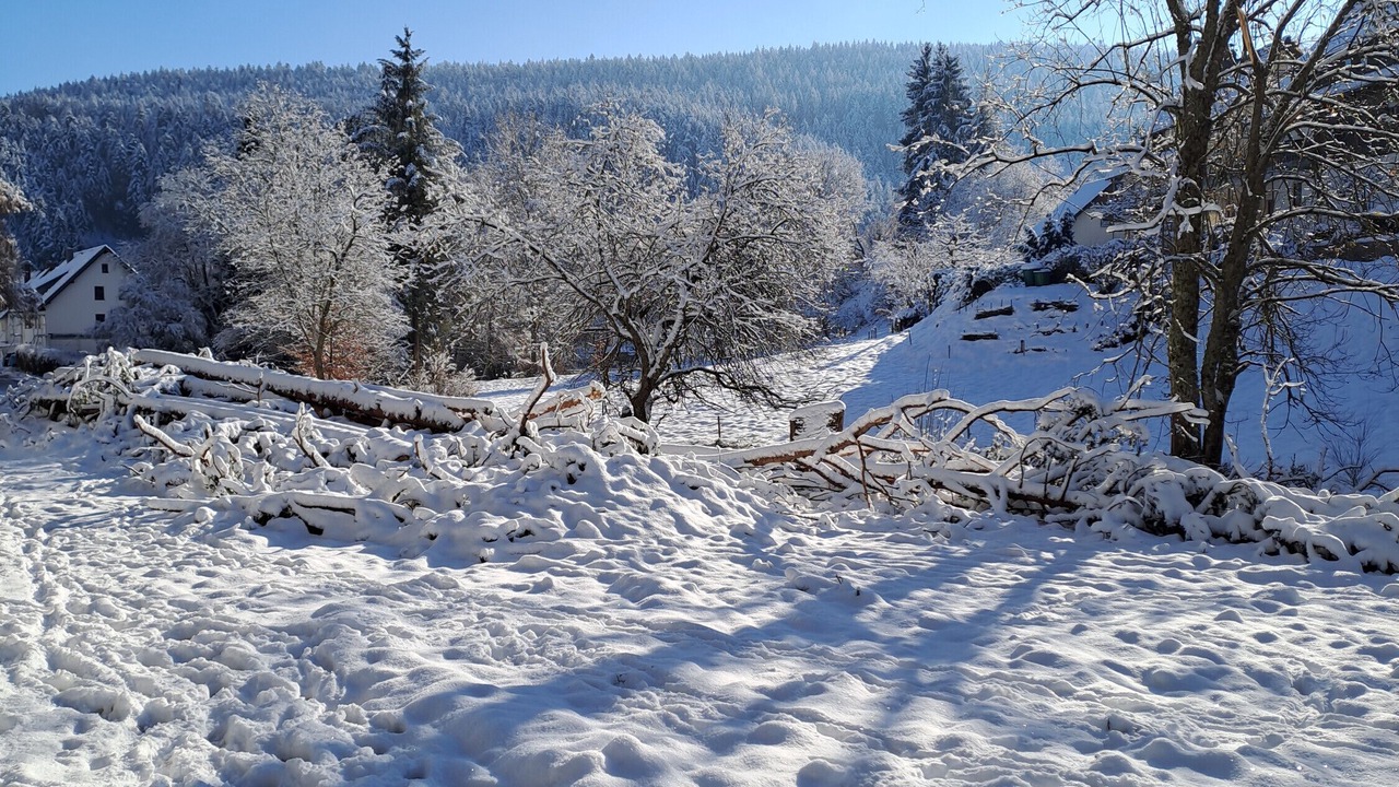 Photo of Others in Tennenbronn