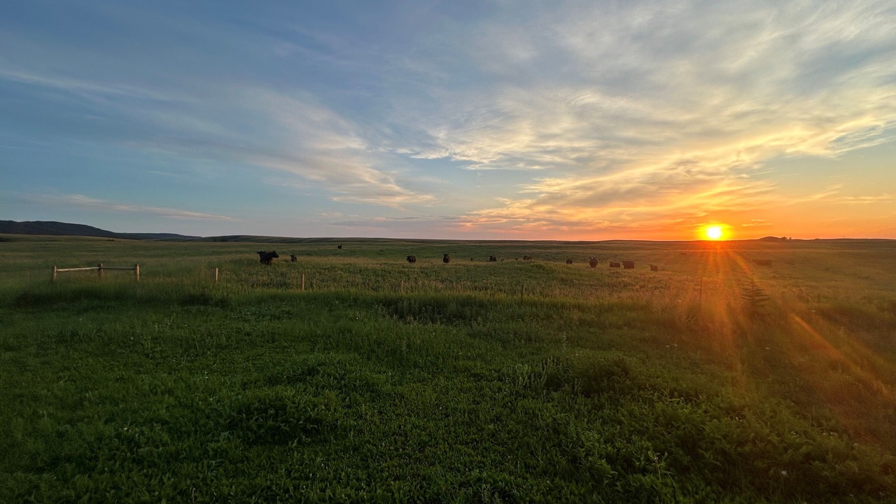 Photo of Others in Medicine Hat