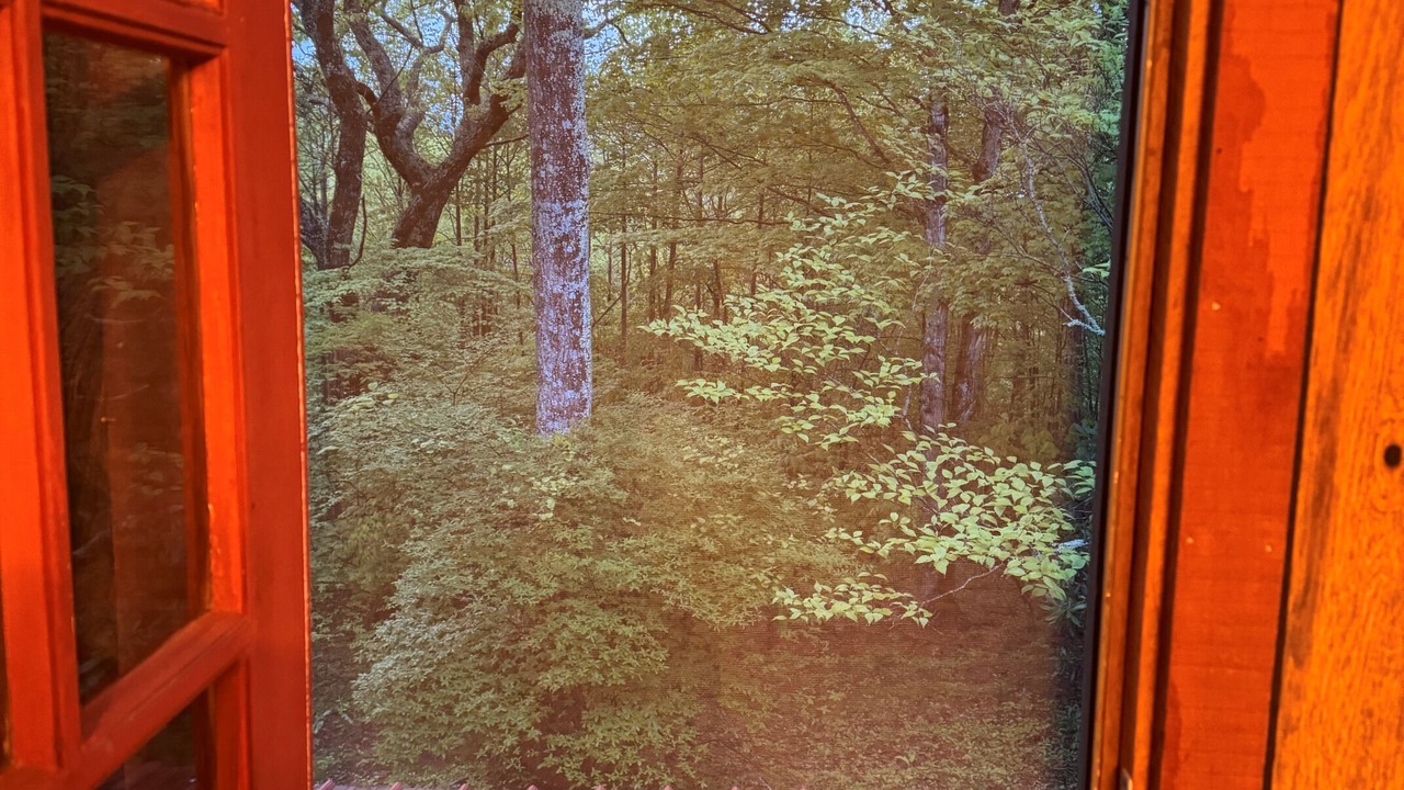 Photo of Others in Frank