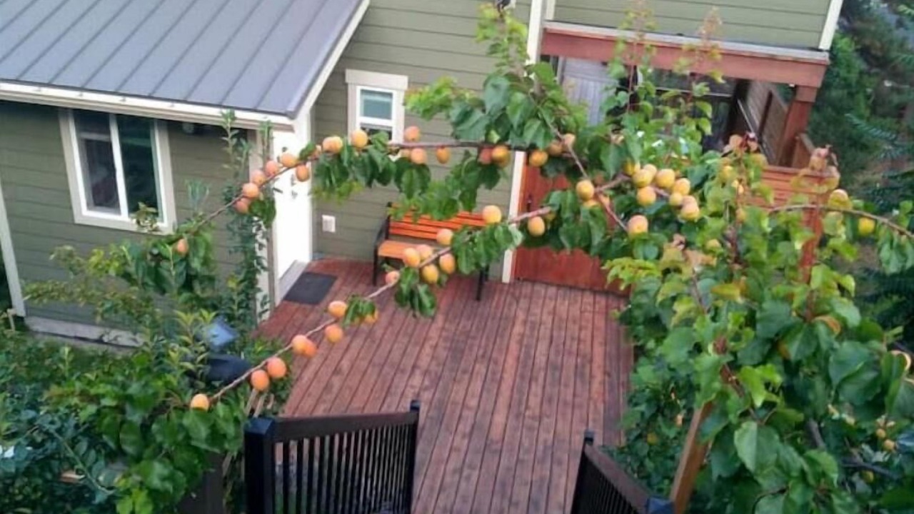 Photo of Others in Central Okanagan