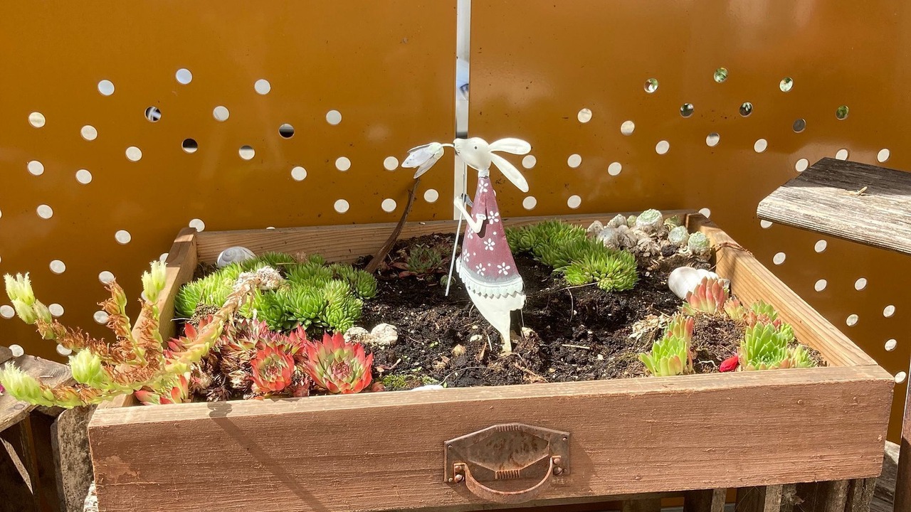 Photo of Outdoor in Glems