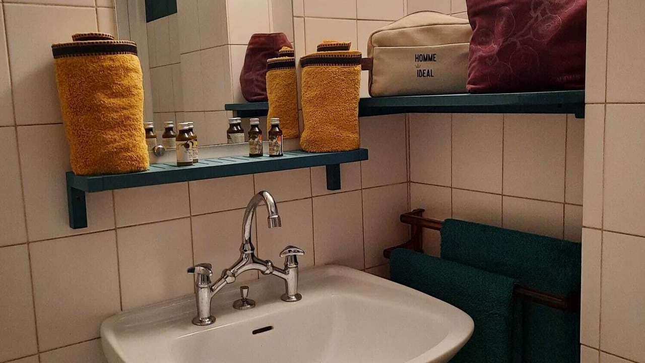 Photo of Bathroom in Meyzieu