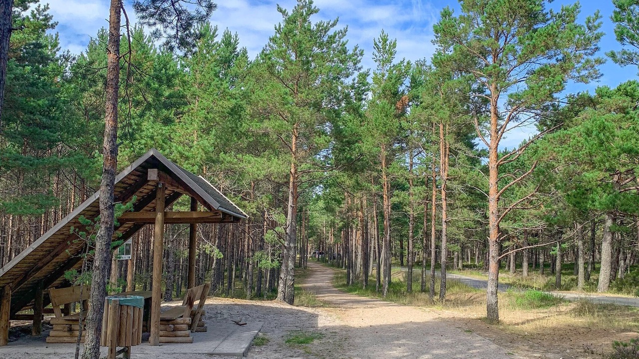 Photo of Others in Bialogora