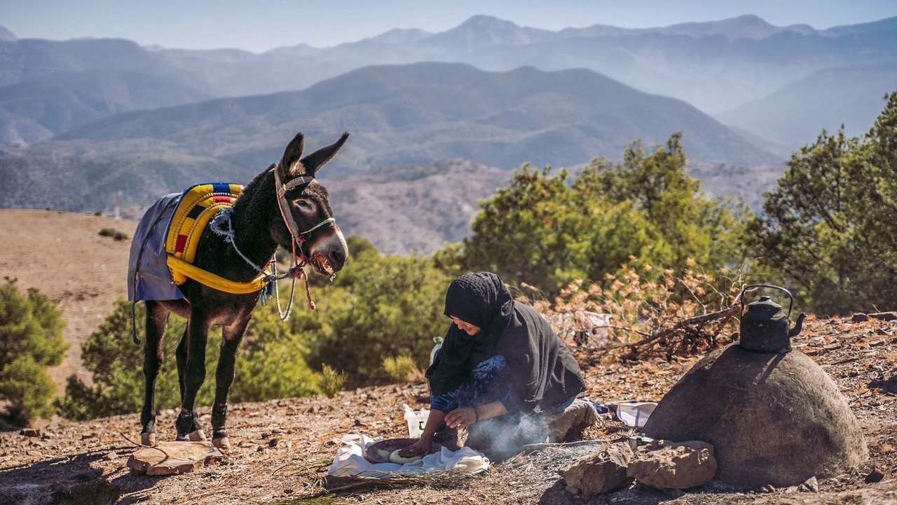 Photo of Others in Sidi Badhaj