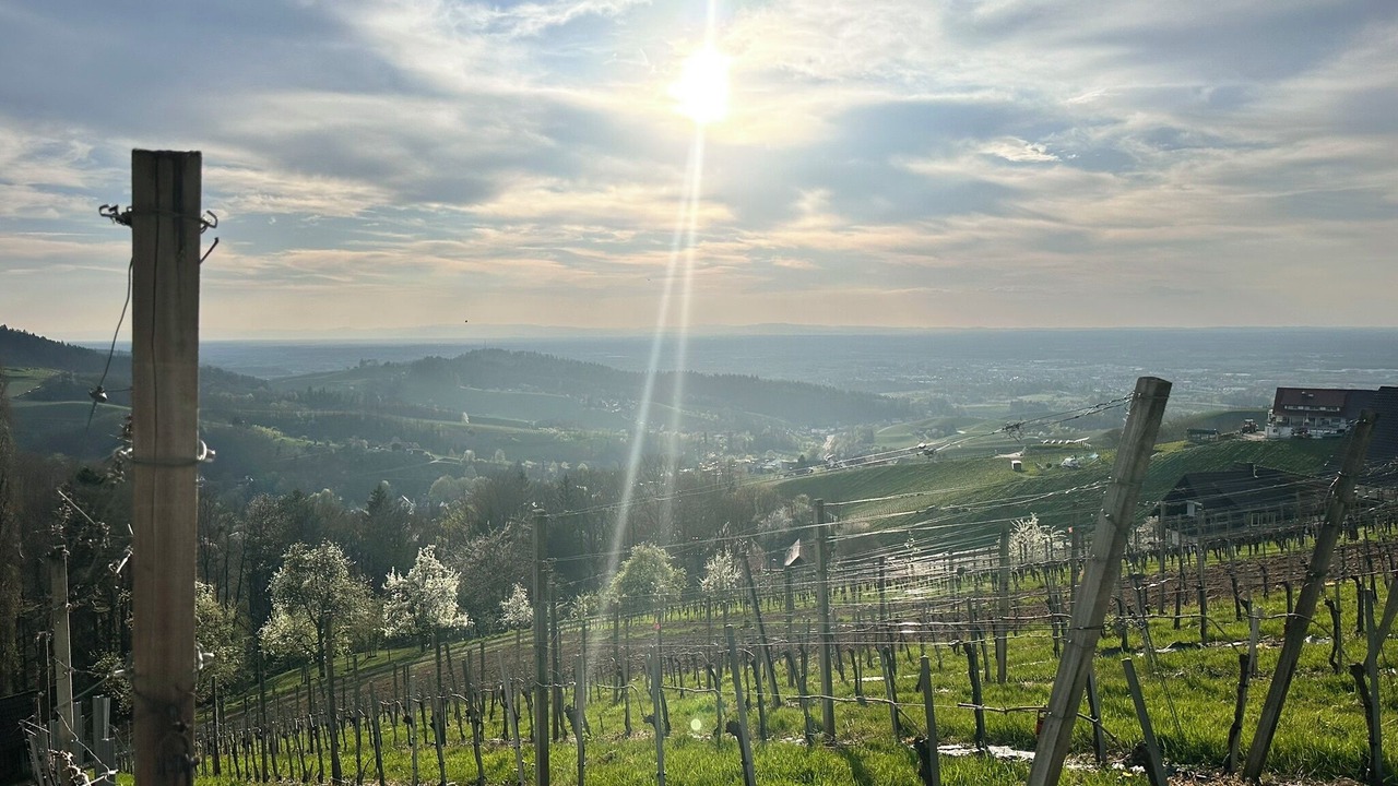 Photo of Others in Sasbachwalden