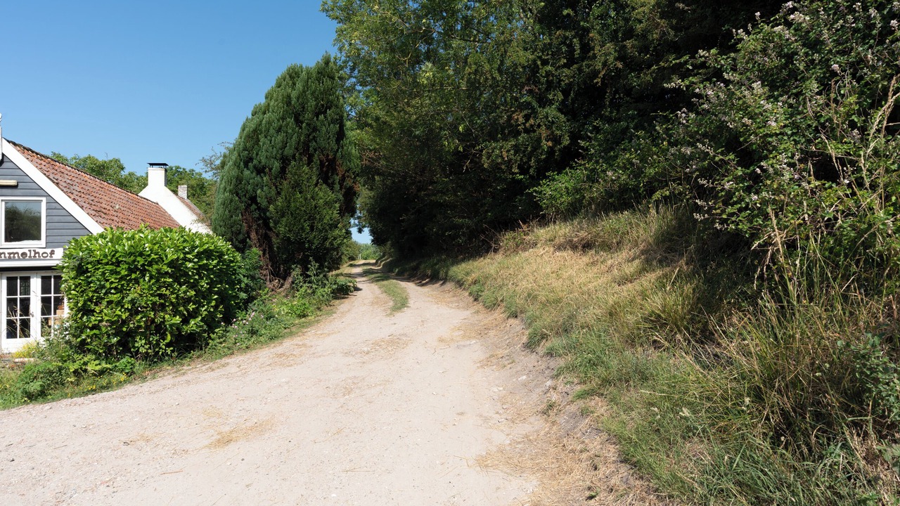 Photo of Outdoor in Breezand