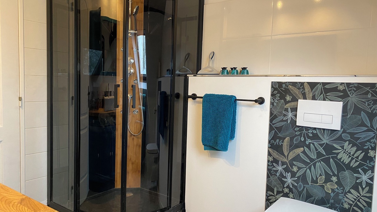 Photo of Bathroom in Cusset