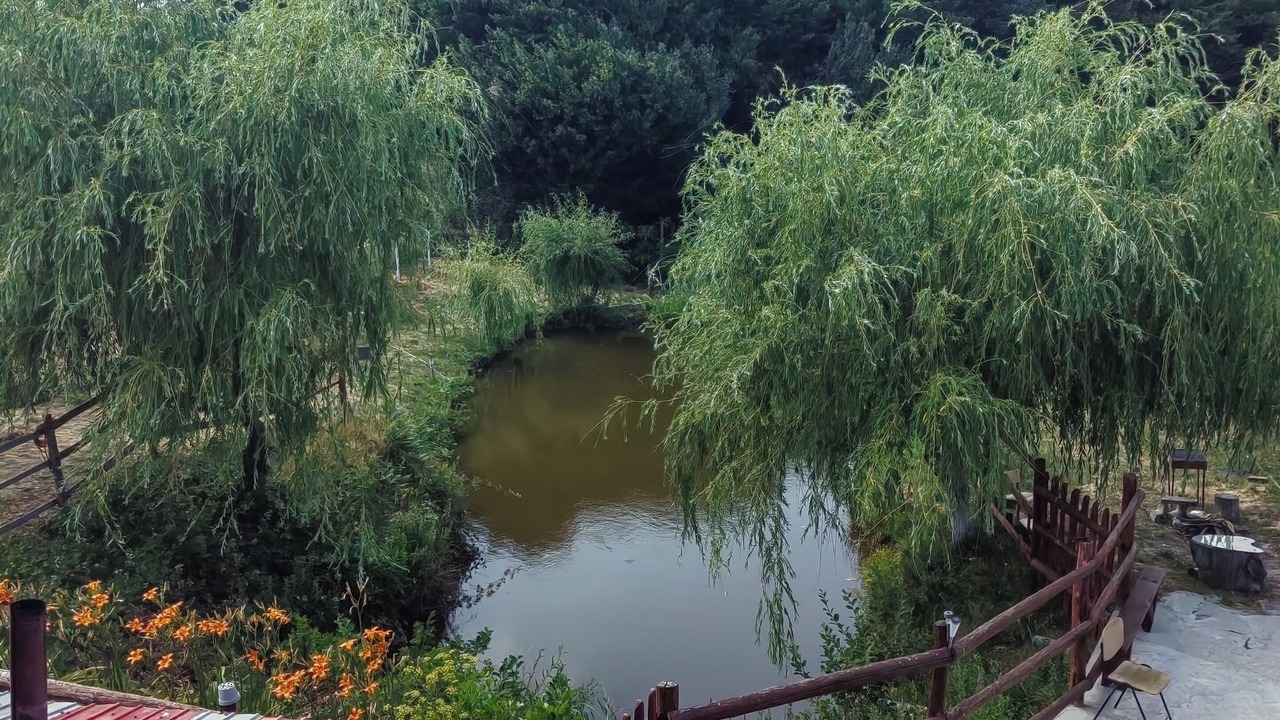 Photo of Outdoor in Butoiesti