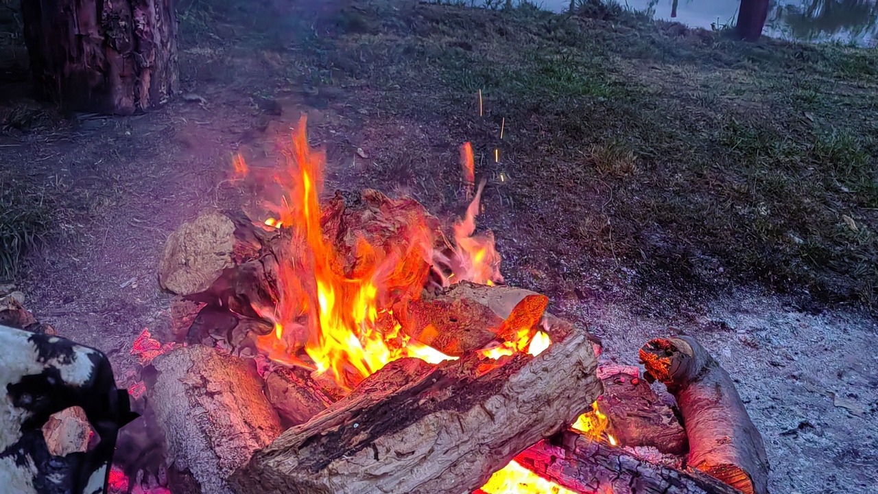 Photo of Outdoor in Butoiesti