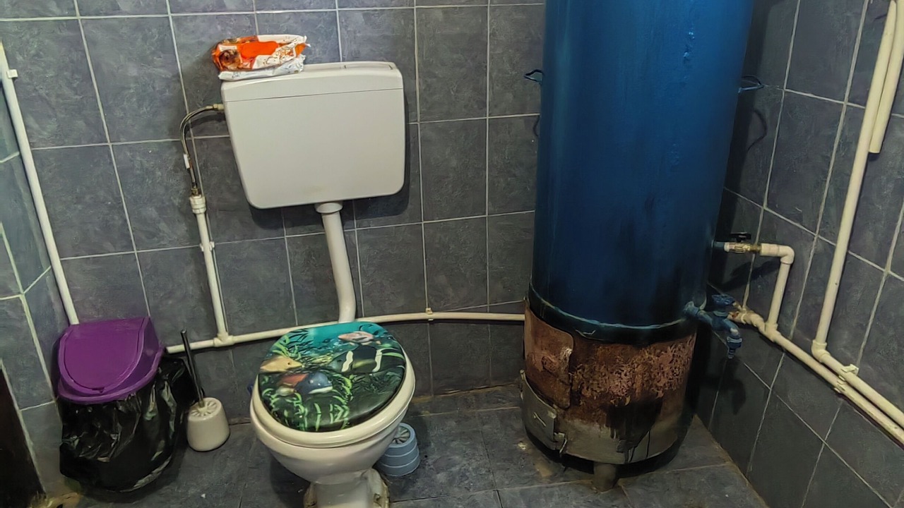 Photo of Bathroom in Butoiesti