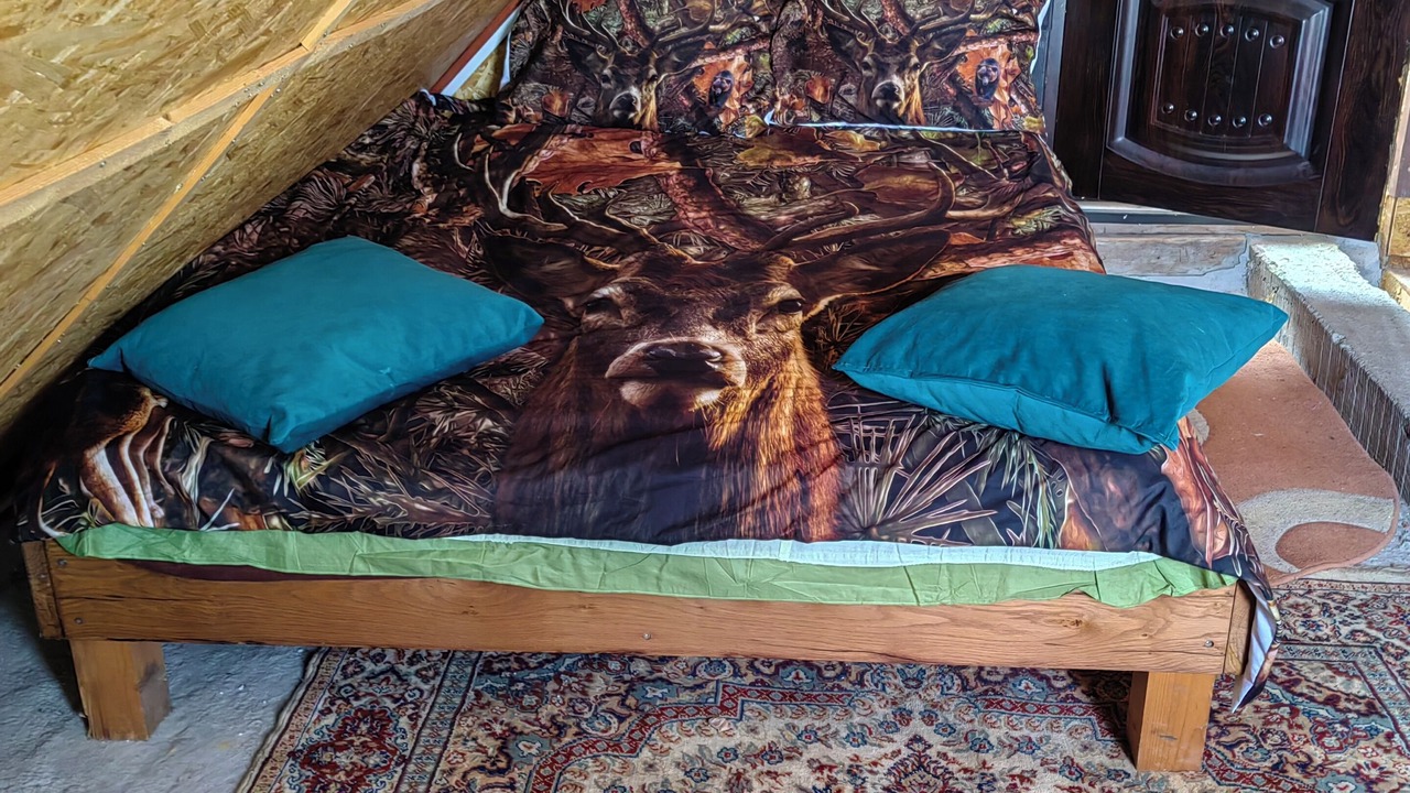Photo of Bedroom in Butoiesti