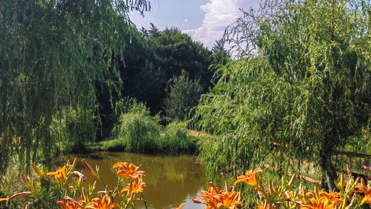 Photo of Outdoor in Butoiesti