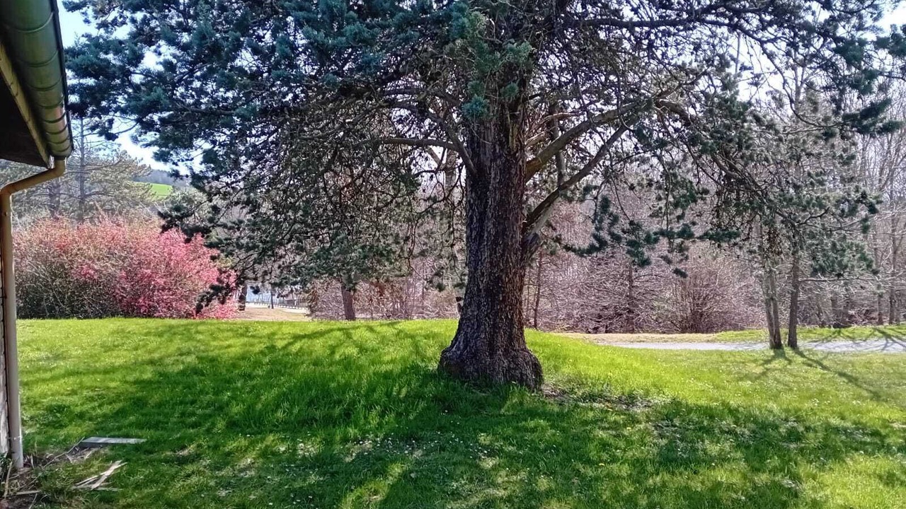 Photo of Outdoor in Saint-Remy-Sur-Durolle