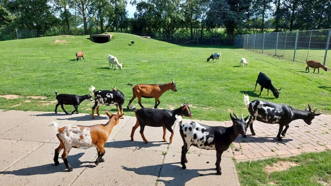 Photo of Others in De Meene