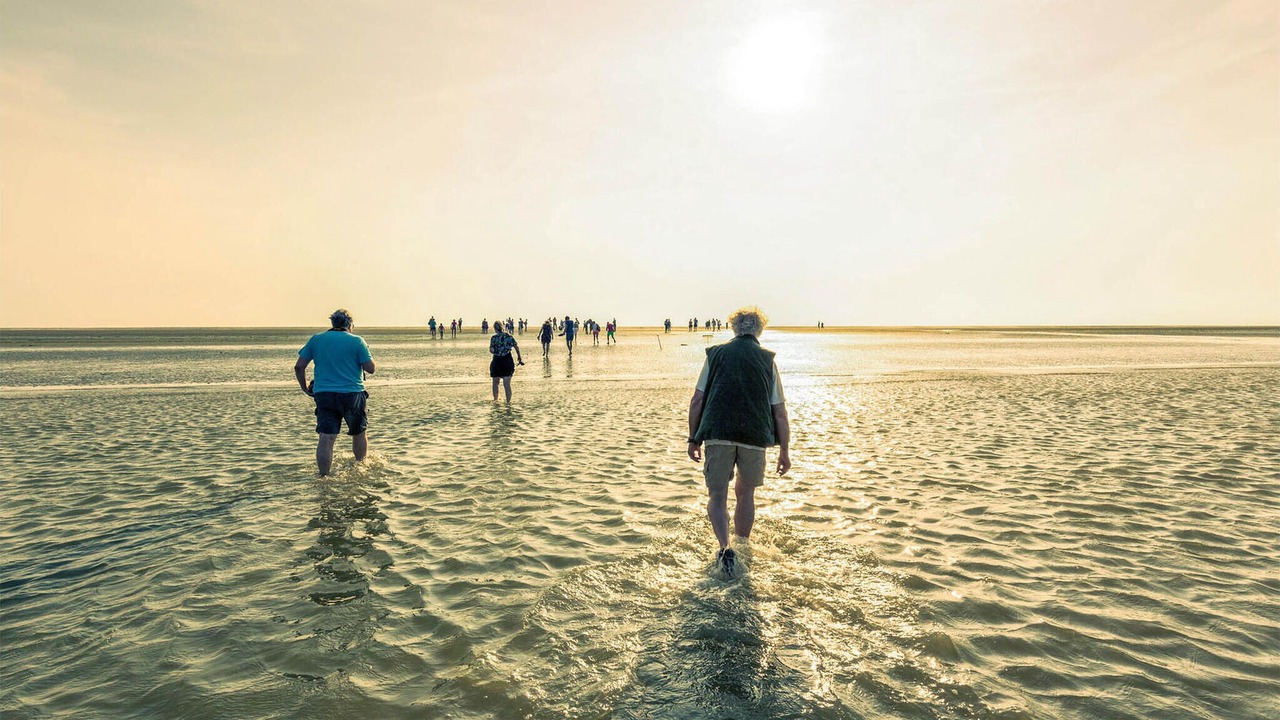 Photo of Others in Lauwersoog