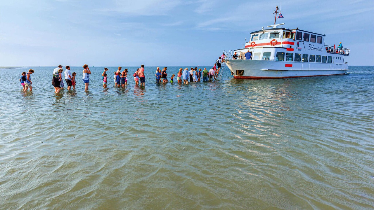 Photo of Others in Lauwersoog