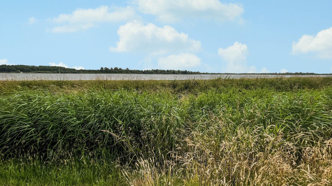 Photo of Others in Lauwersoog