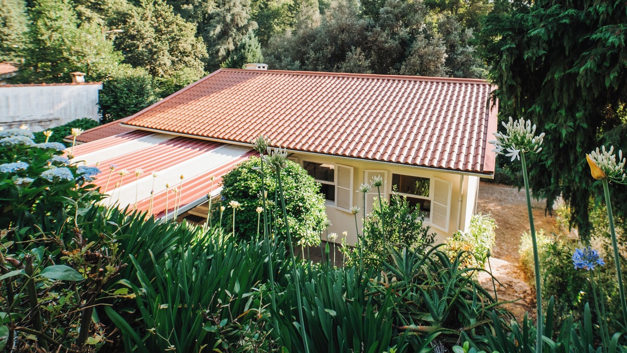 Photo of Outdoor in Cabril