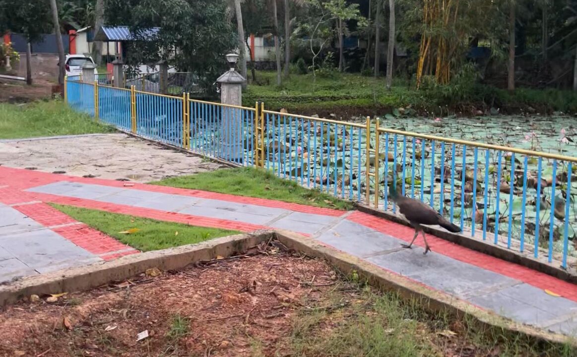 Photo of Outdoor in Vellayani