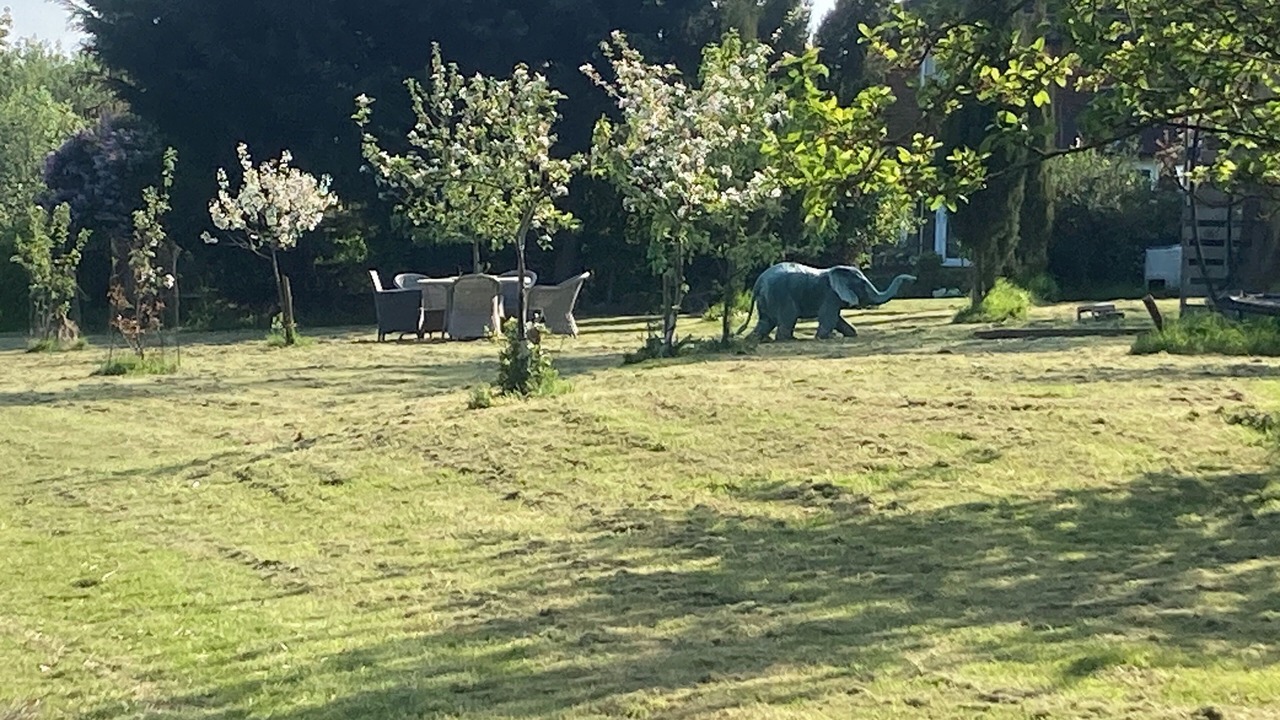 Photo of Outdoor in Barns Green