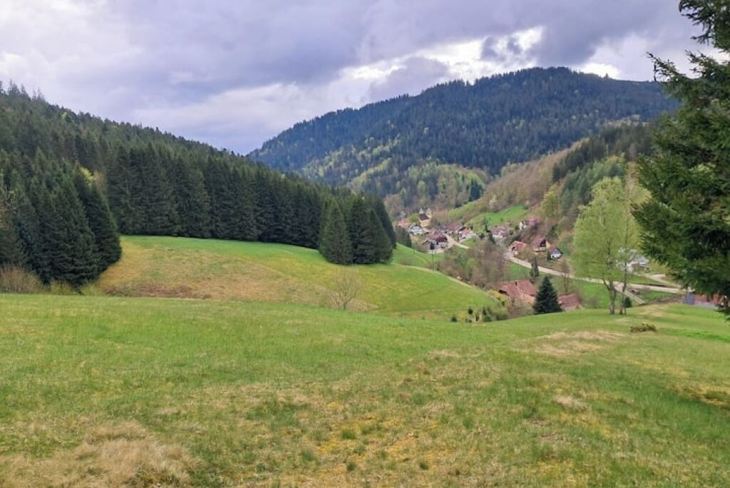 Photo of Others in Bad Rippoldsau-Schapbach