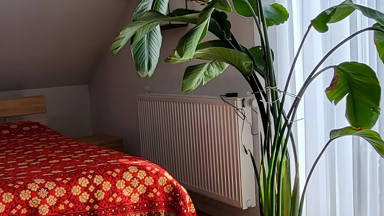 Photo of Bedroom in Sulz am Neckar