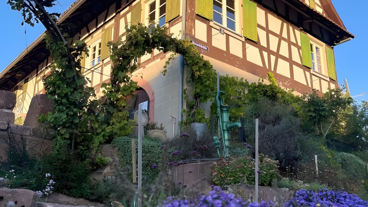 Photo of Outdoor in Offenburg