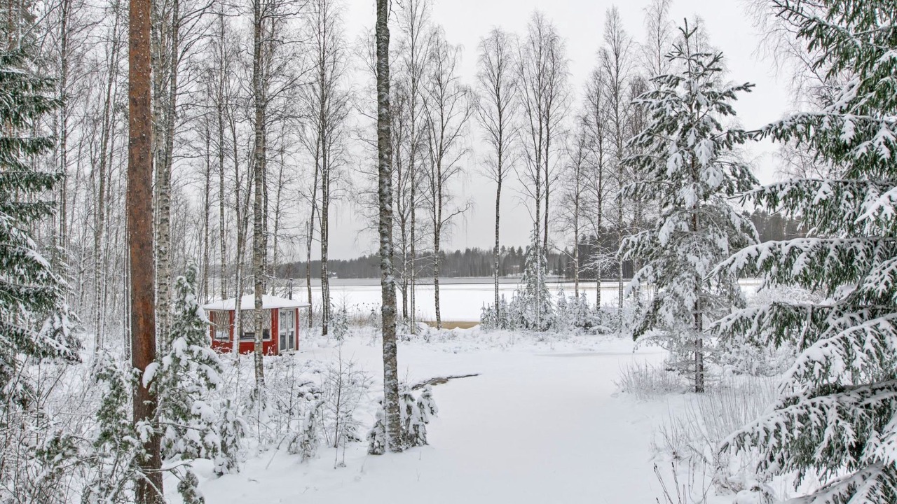 Photo of Others in Kihnio
