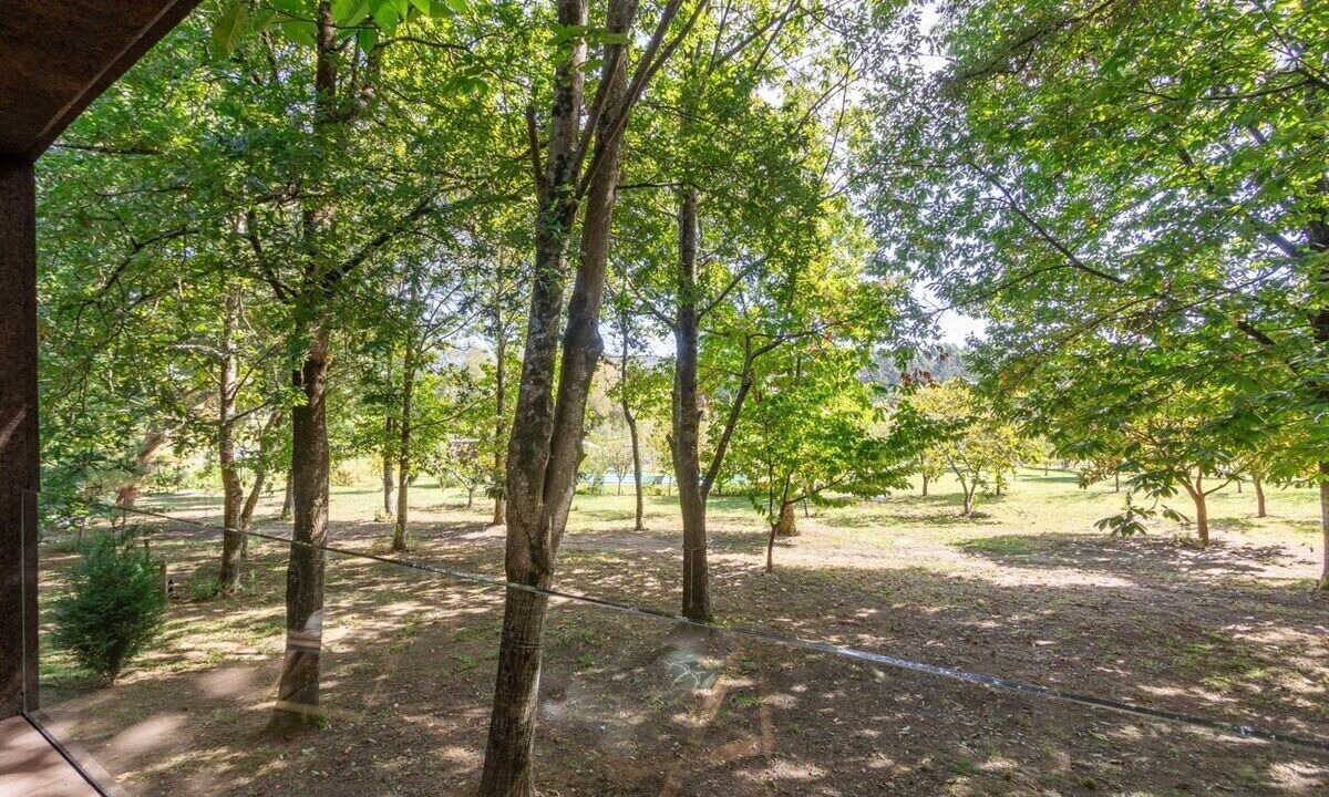 Photo of Outdoor in Barroselas