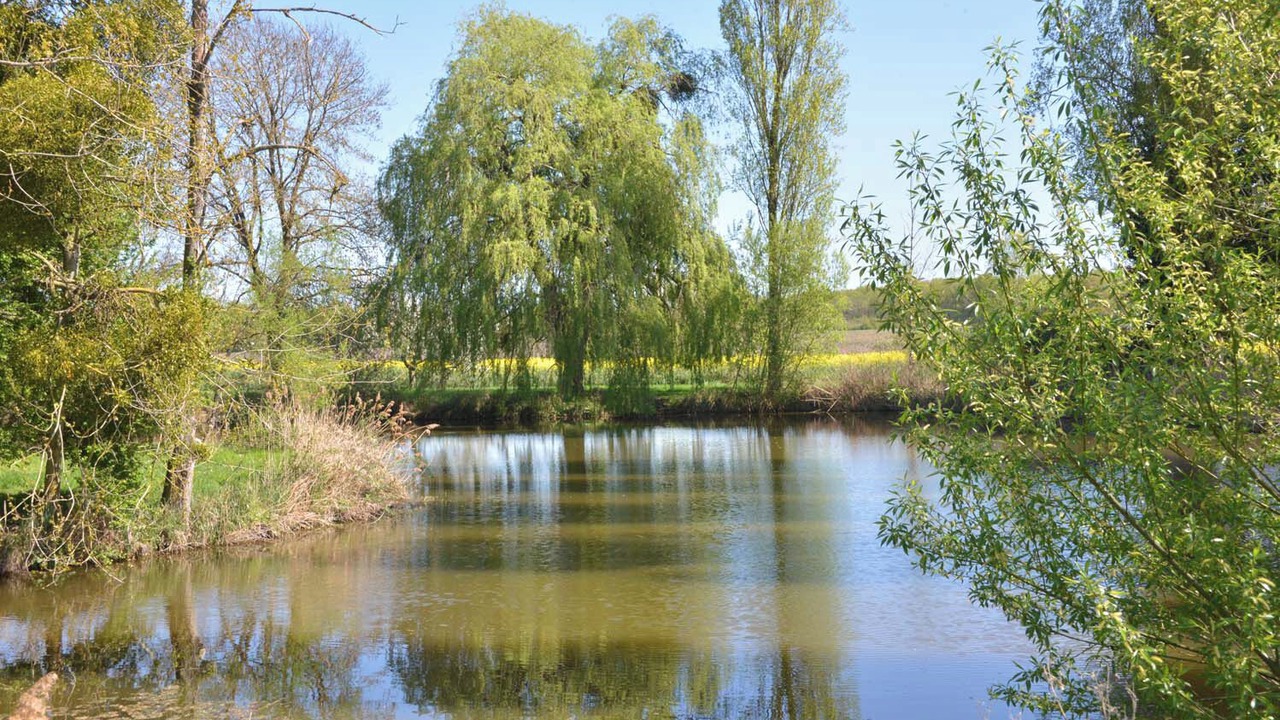 Photo of Others in Nouan-sur-Loire
