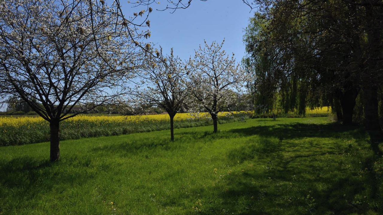 Photo of Others in Nouan-sur-Loire