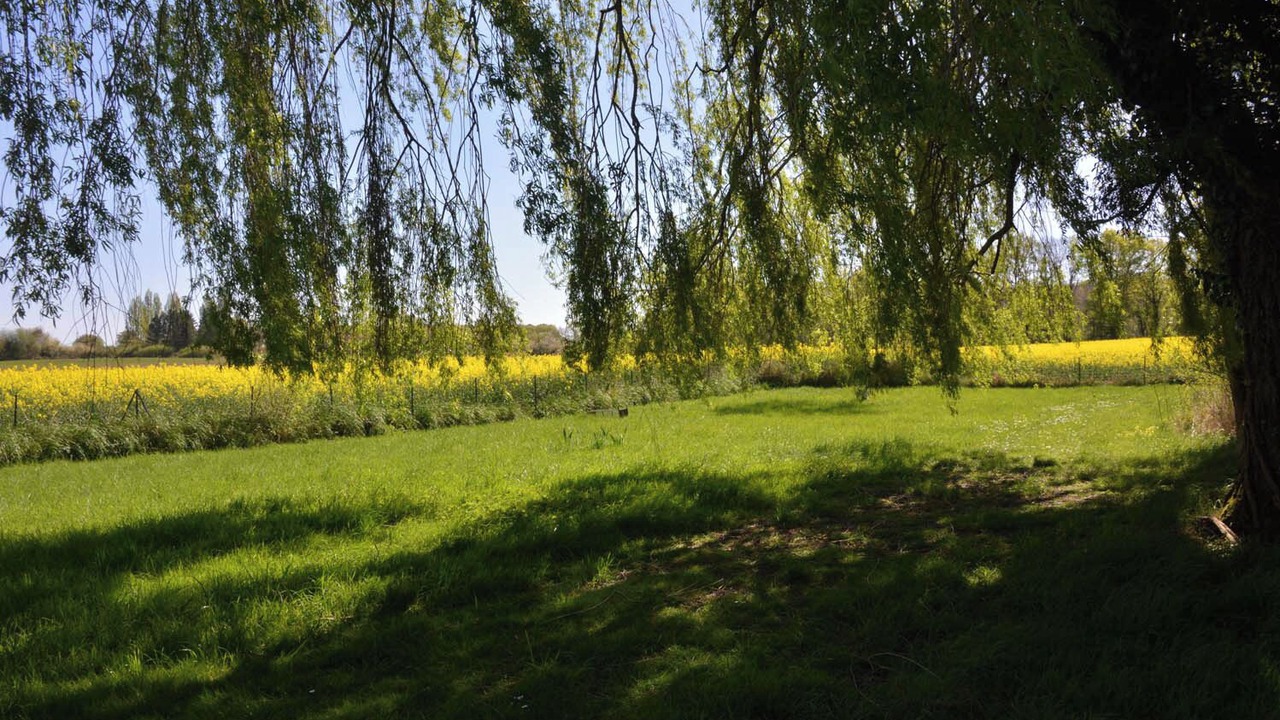 Photo of Others in Nouan-sur-Loire