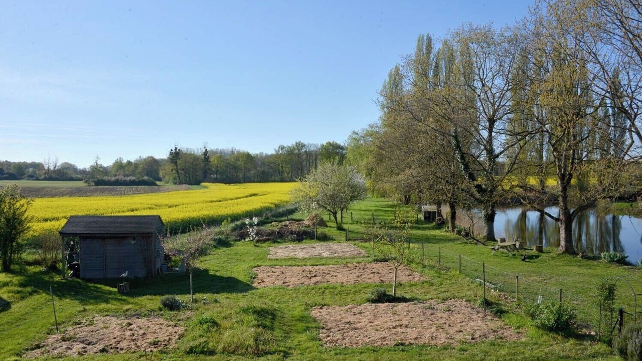 Photo of Others in Nouan-sur-Loire