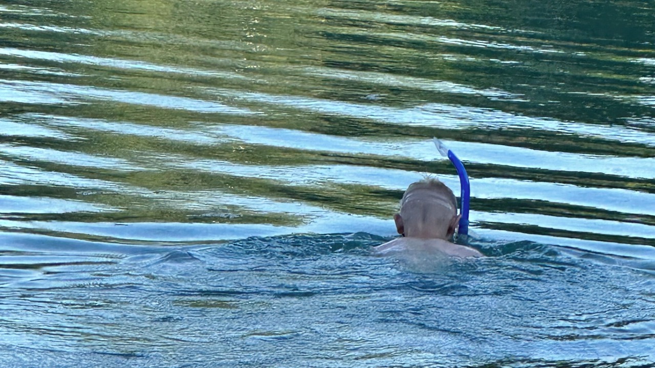 Photo of Others in Portage