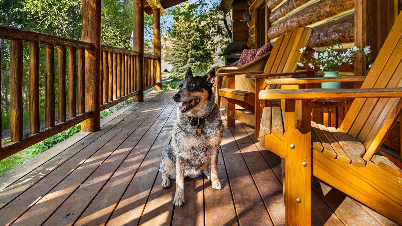 Photo of Patio Balcony in Livingston