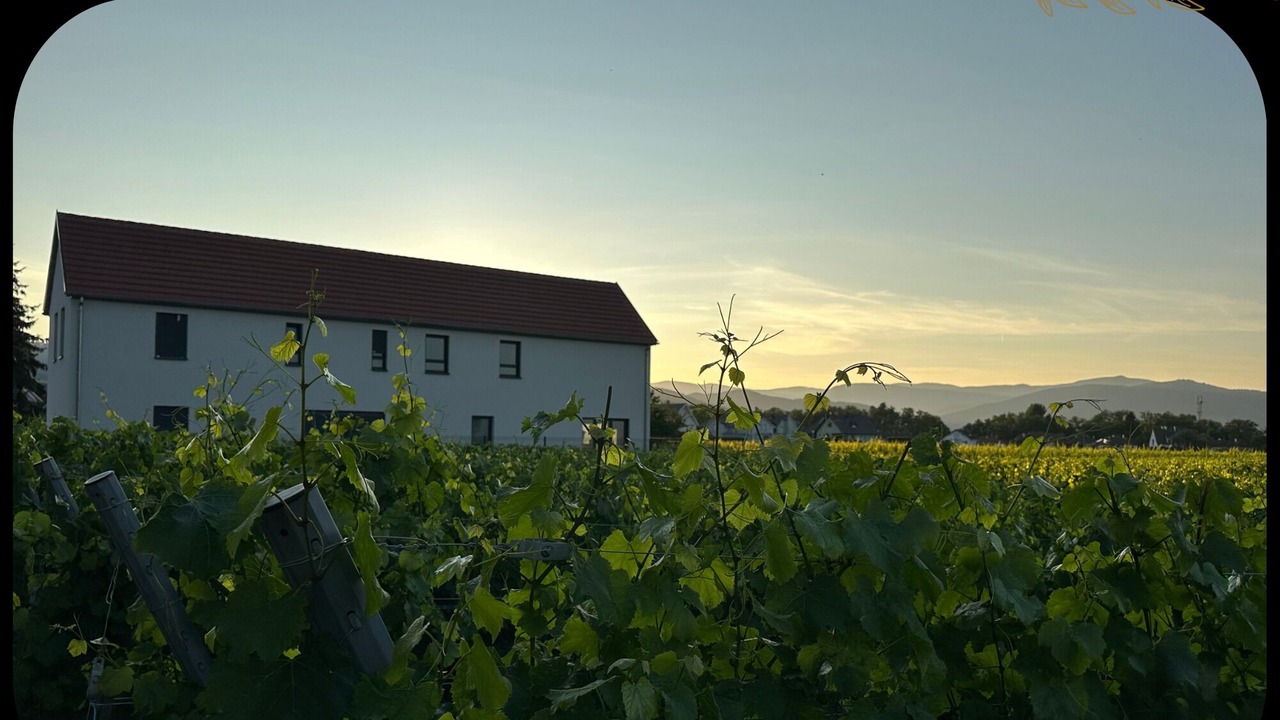 Photo of Outdoor in Ingersheim