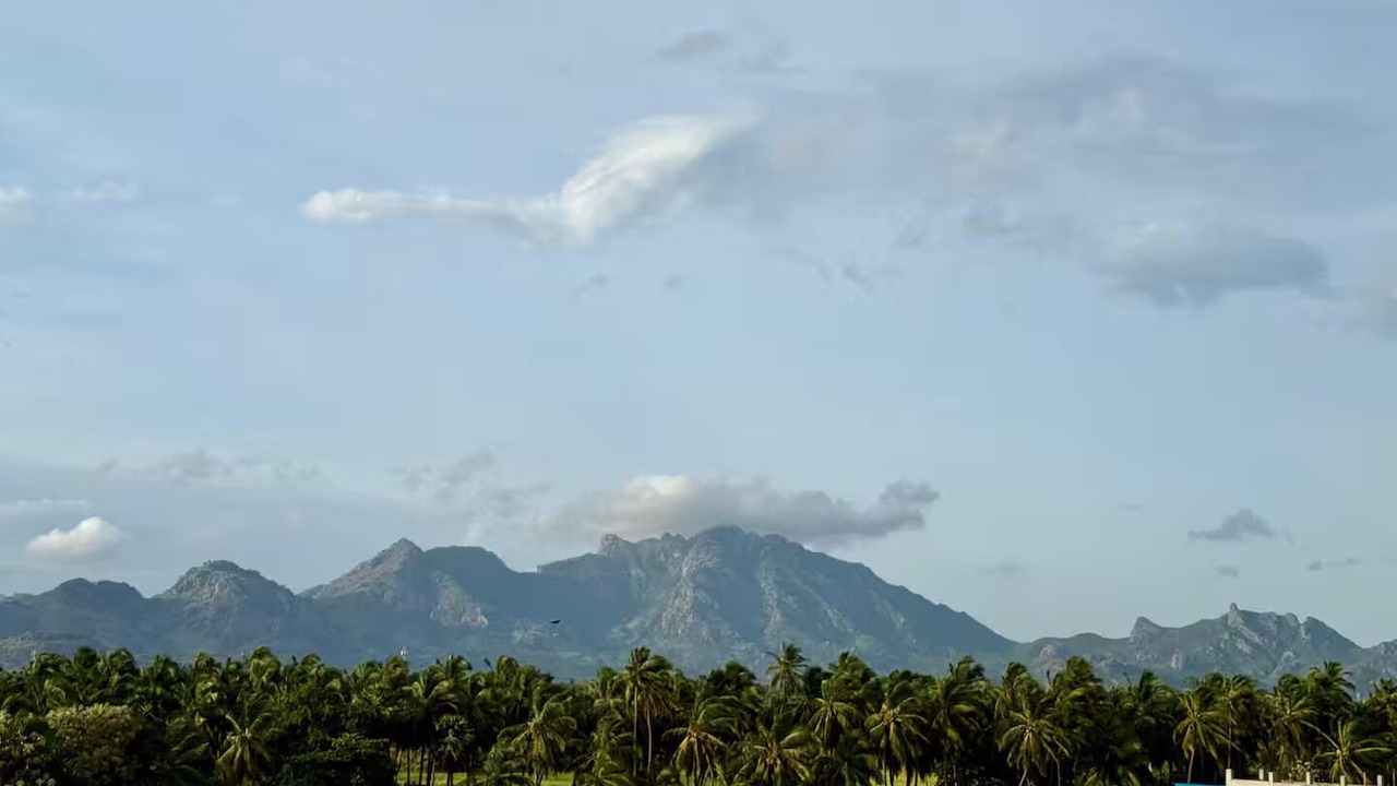 Photo of Others in Suchindram