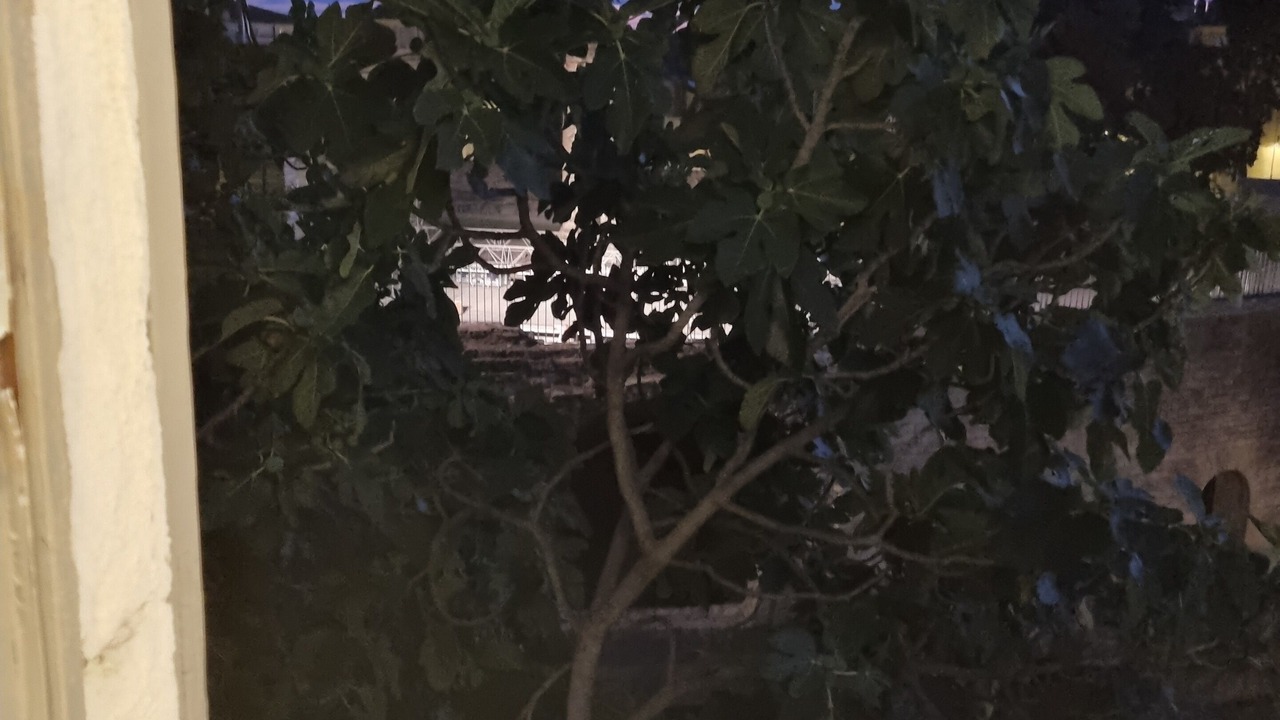 Photo of Outdoor in Arles