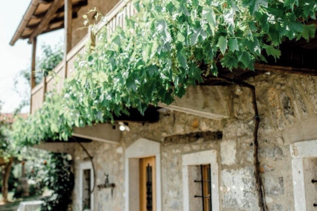 Photo of Outdoor in Sezana