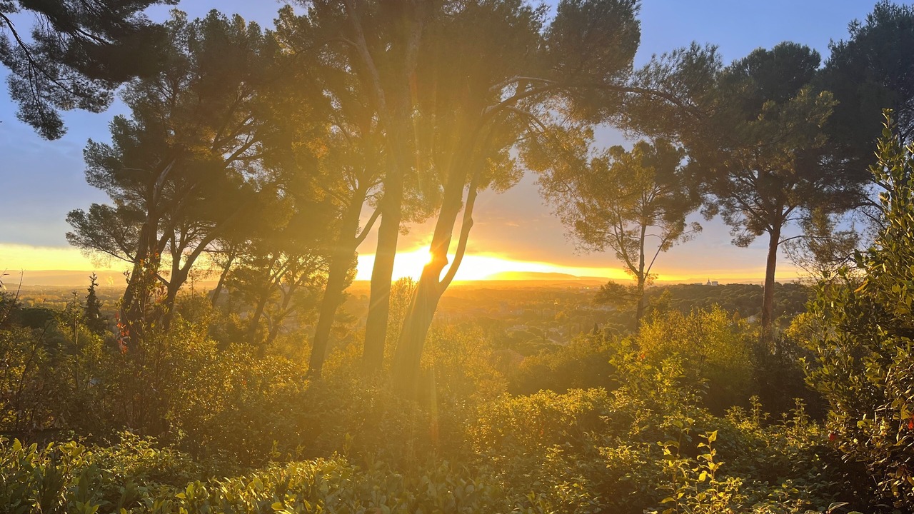 Photo of Others in Villeneuve-les-Avignon
