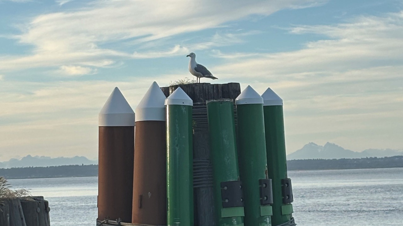 Photo of Others in Lummi Island