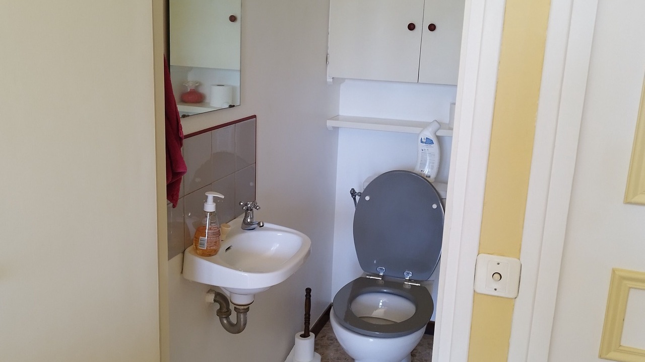 Photo of Bathroom in Lodeve