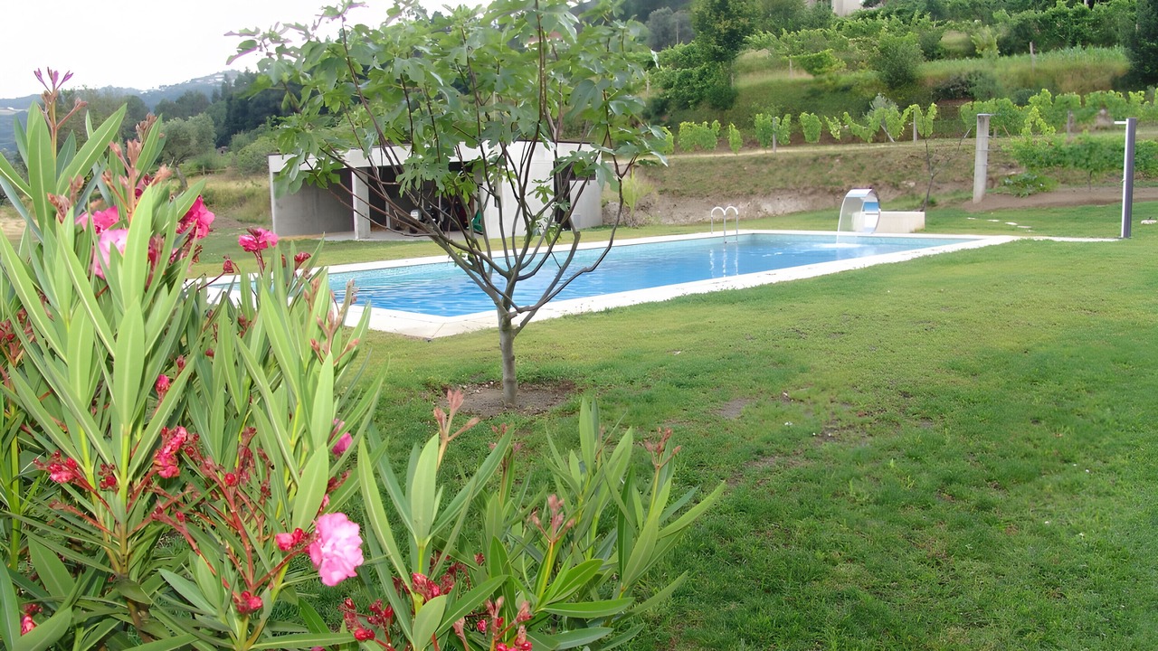 Photo of Outdoor in Bico