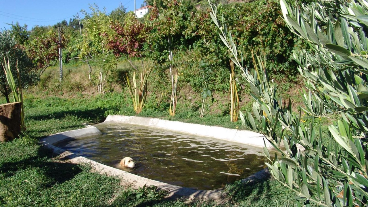 Photo of Outdoor in Bico