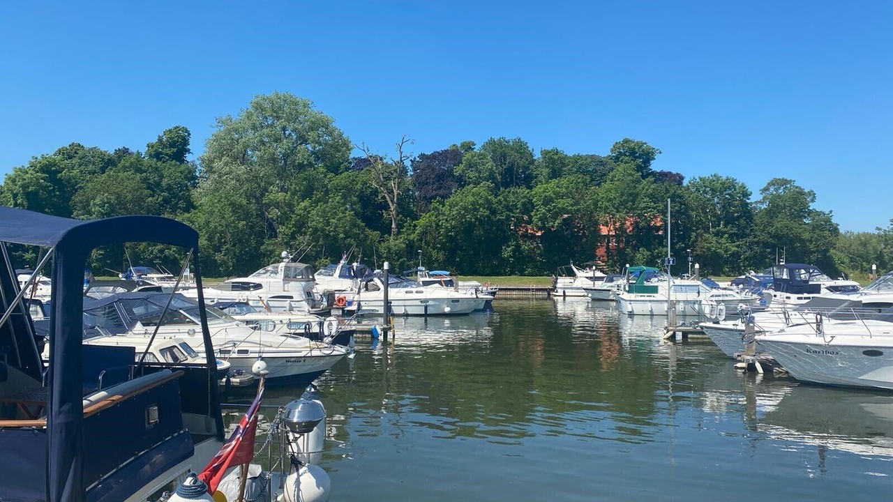 Photo of Others in Windsor
