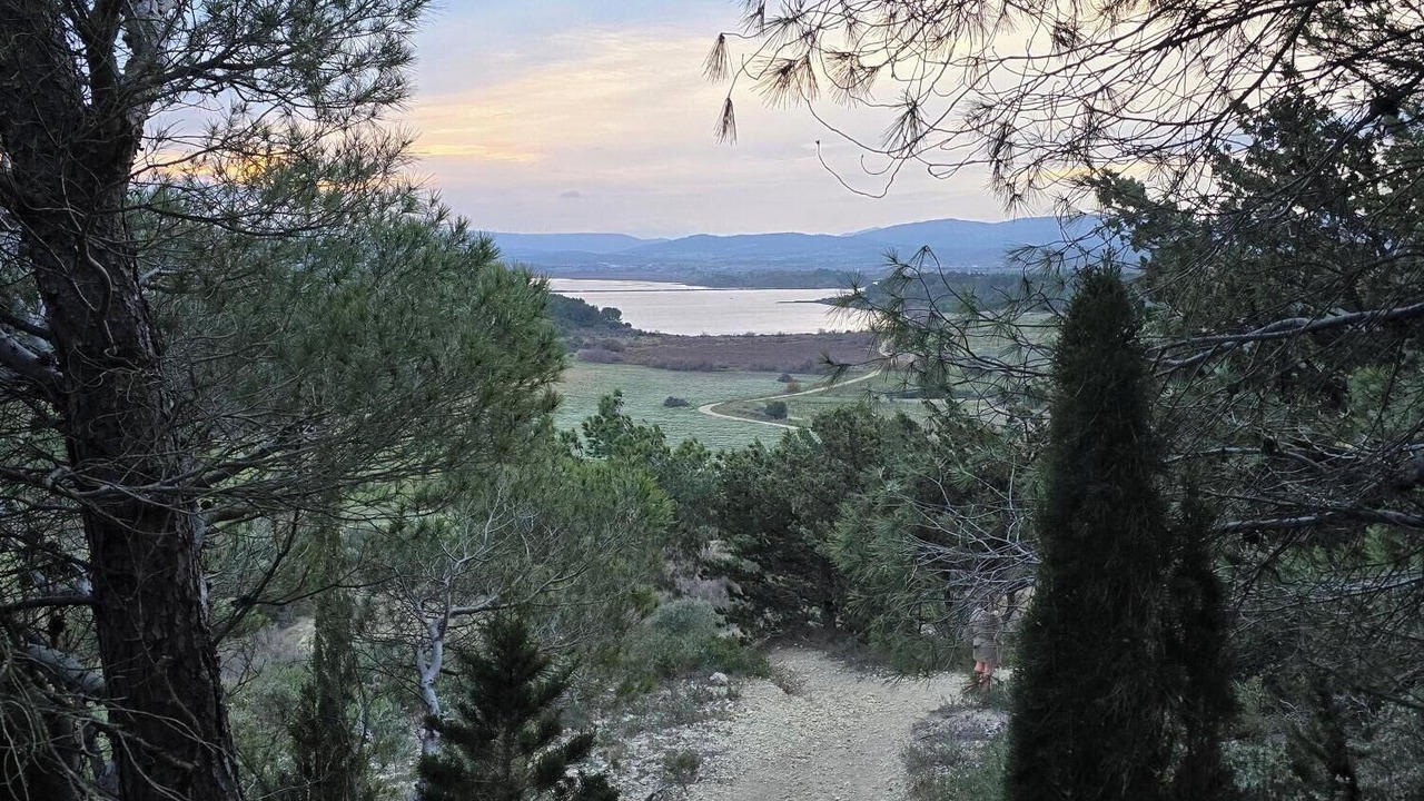 Photo of Others in Bages