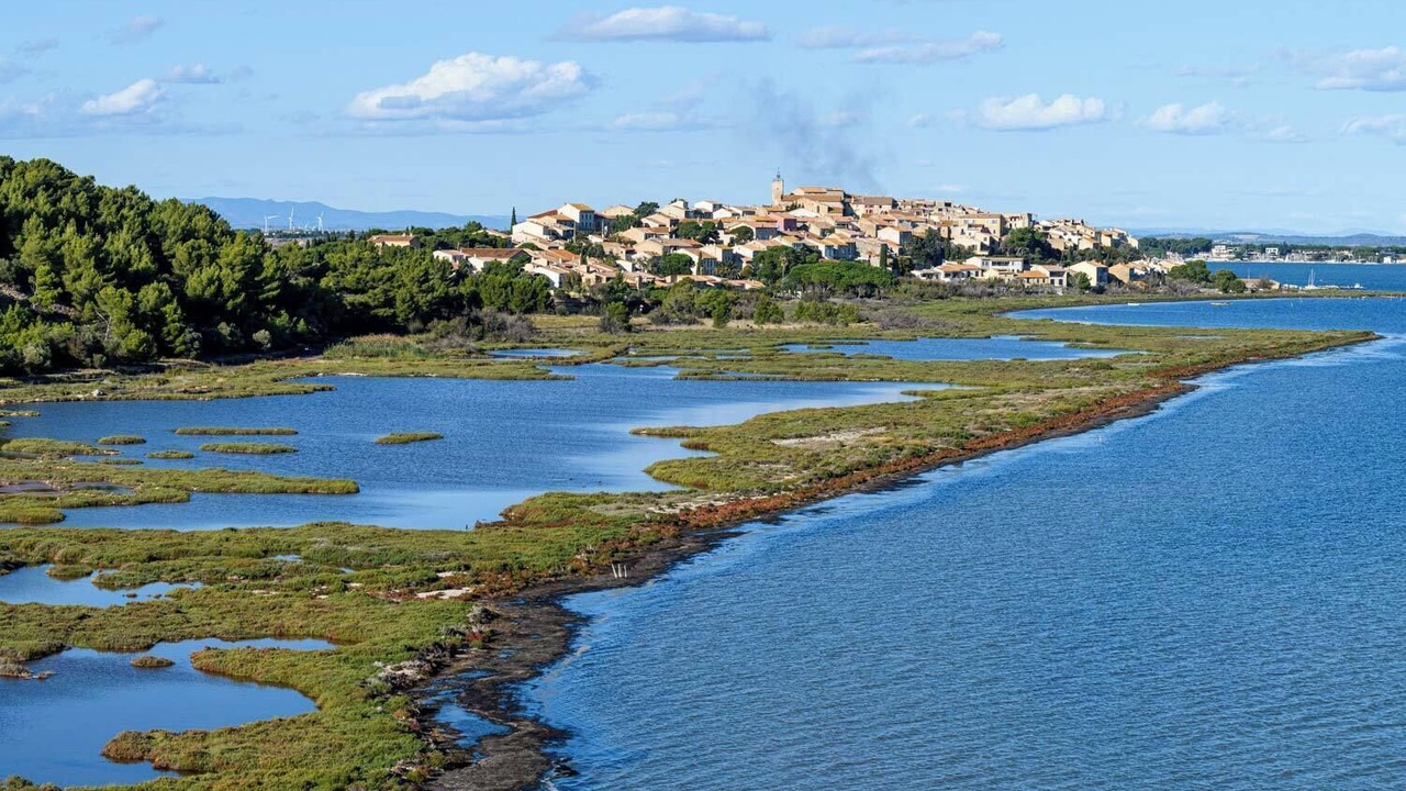Photo of Others in Bages