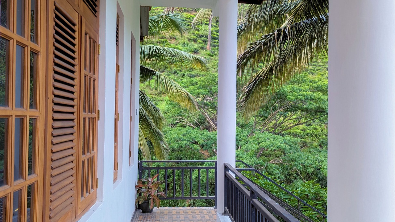 Photo of Outdoor in Demodera