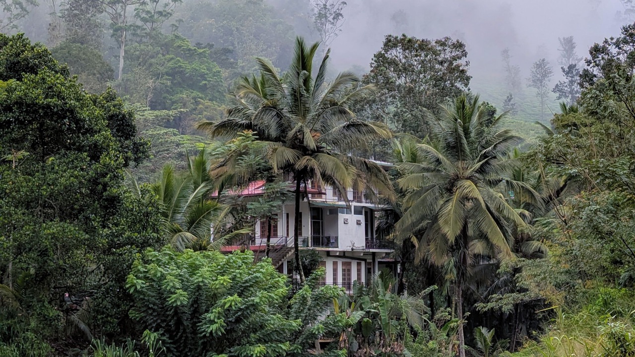 Photo of Outdoor in Demodera