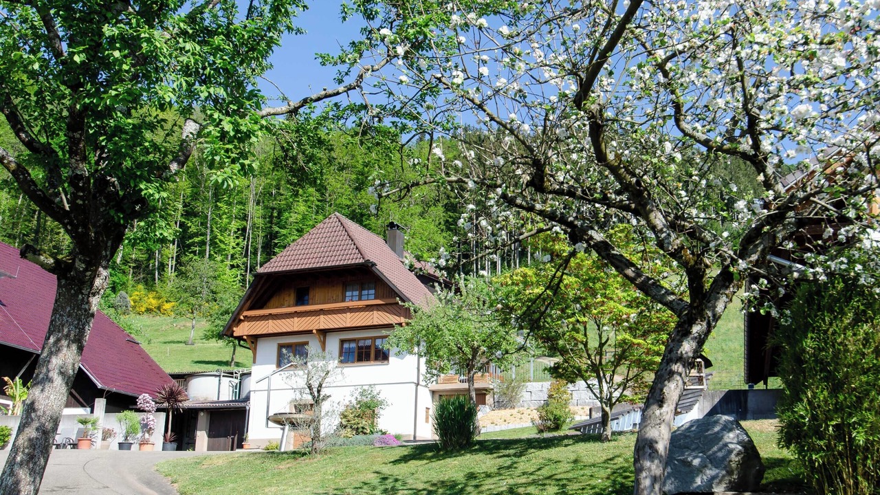 Photo of Outdoor in Hausach